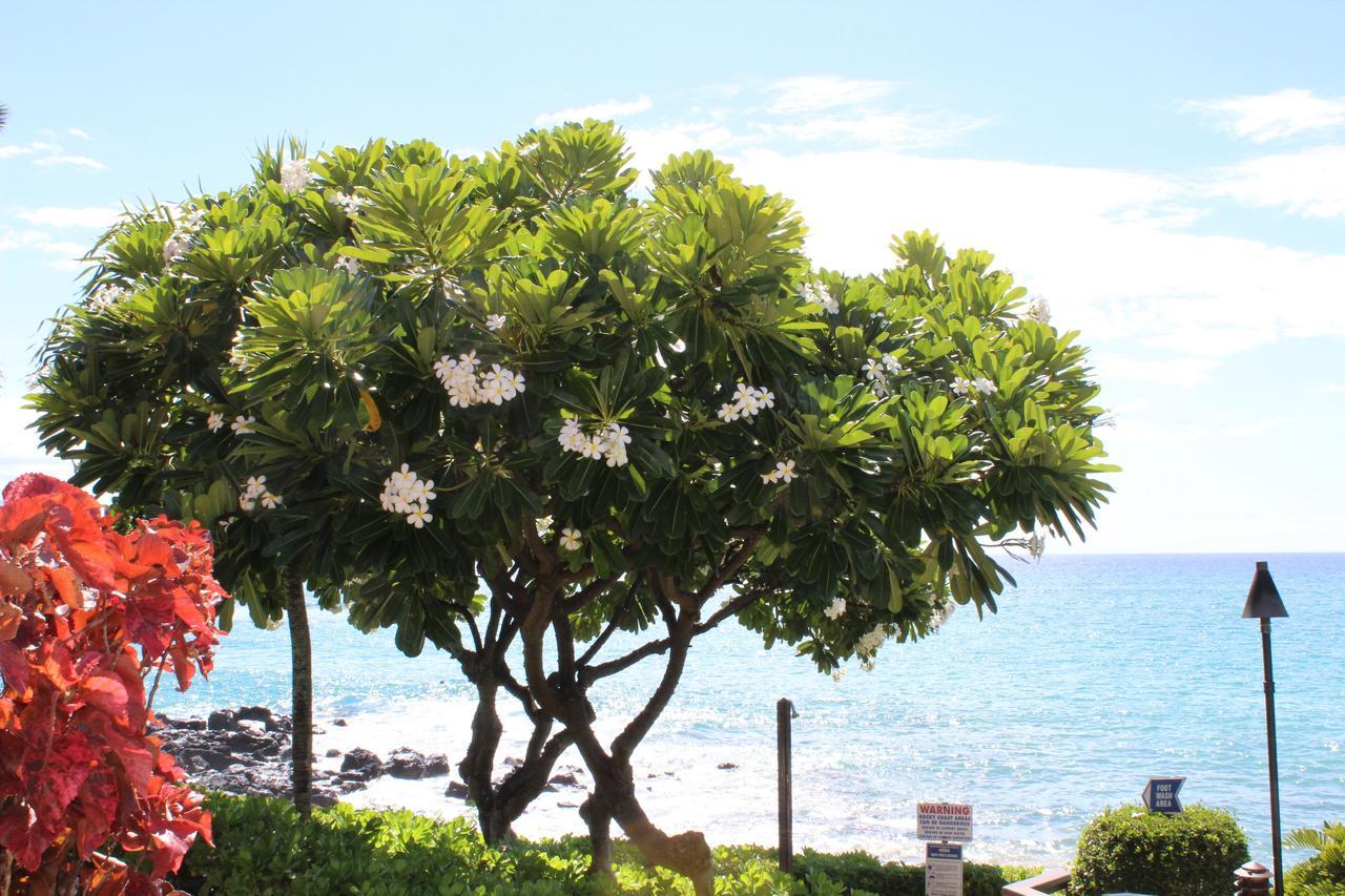 Kuleana Resort 618 Lahaina Exterior photo